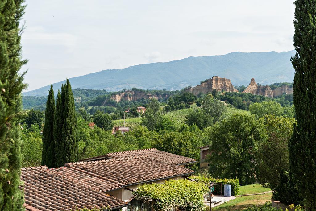 Villa Il Cedro Reggello Exteriér fotografie